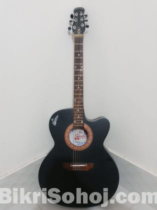 Signature model265 guitar